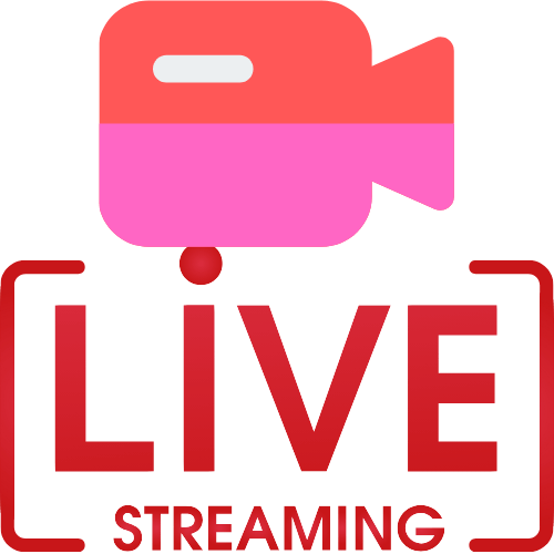 1v1 Adult Cams